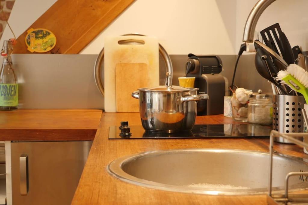 Oparadi 'Le Vieux Lille' A Deux Pas Des Boutiques Et Restaurants エクステリア 写真